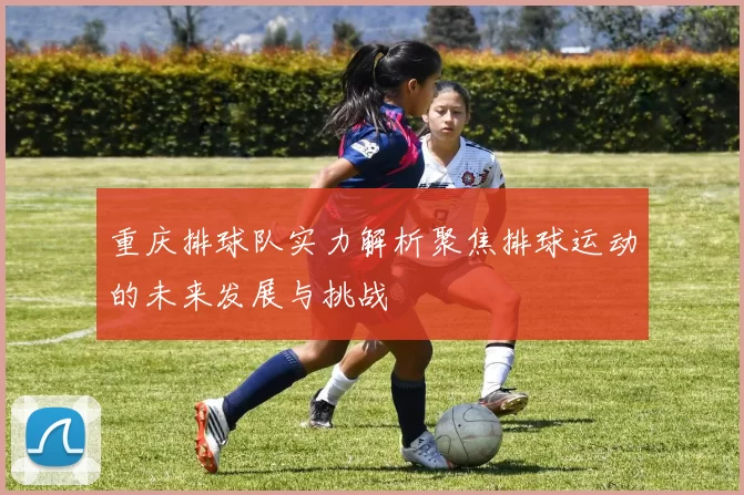 重庆排球队实力解析聚焦排球运动的未来发展与挑战